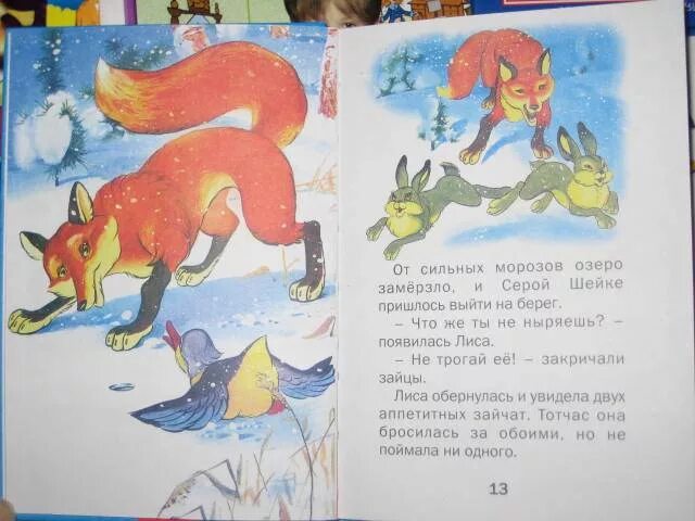Сочинение по картине серая шейка 3 класс. Серая шейка. отрывок из рассказа серая шейка. сказка серая шейка текст.