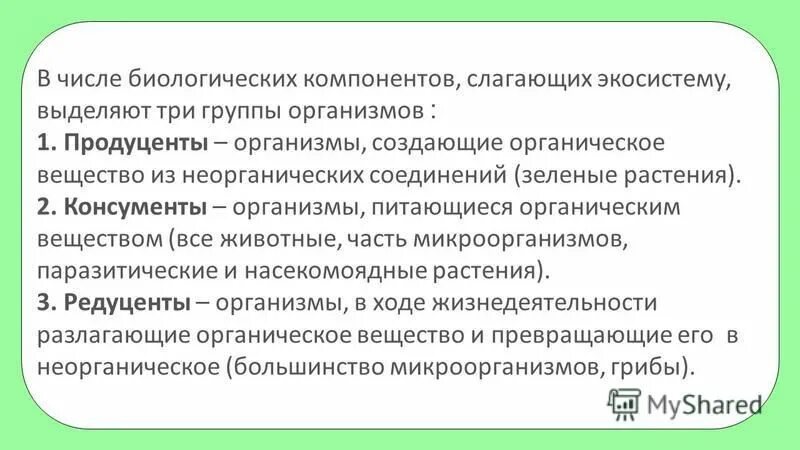 экологии человека в биологии. производители в экосистеме болота. модель экосистемы. цель экосистемы. экосистема это в экологии.