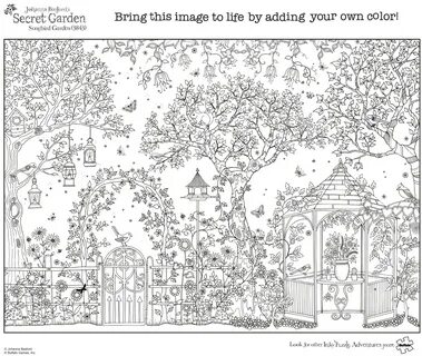 Best Adult Coloring Books: Top 5 Titles Most Recommended By