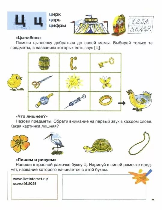 Грамота звук буква ц. Звуковая культура речи: дифференциация звуков ц – ч.. Логопедические задания на звук ц для дошкольников. Логопедическое занятие в подготовительной группе звук ц. Изучение буквы ц с дошкольниками.