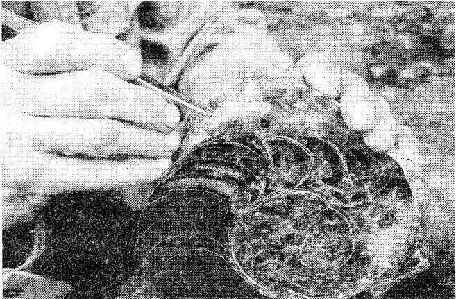 как называют специалиста зоолога который занимается. зоологи а серпентайне. специалист зоолог изучающий жизнедеятельности организма животных. как называются специалиста зоолога которого является изображенное. как называют специалиста зоолога который занимается.