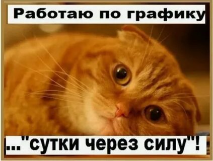 Ты много работаешь
