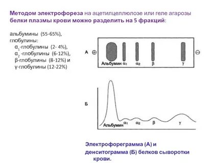 Метод электрофореза позволяет