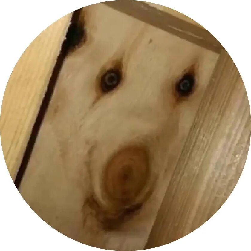 Дратит. Дратути надпись. Дратути это я. Дратути мем. Дратути прикол.