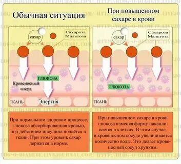 Инсулин поднялся. Сахар поднялся к вечеру. Почему сахар вреден. Сахар поднялся к вечеру. Сахар поднялся к вечеру.