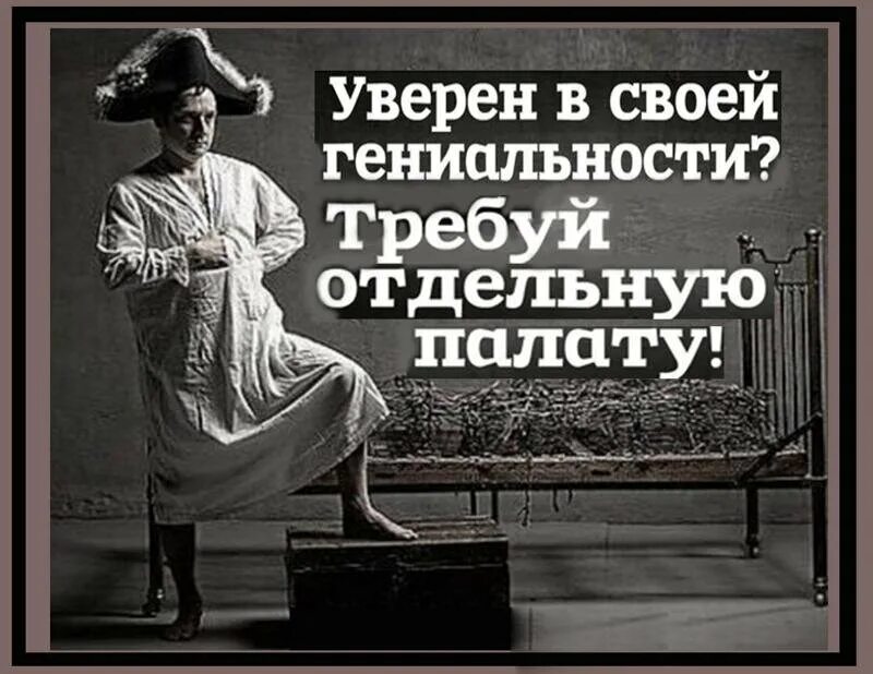 Уверен в своей гениальности требуй отдельную палату. Уверен в своей гениальности требуй. Требуй отдельную палату. Афоризмы про манию величия. Гениальное дело