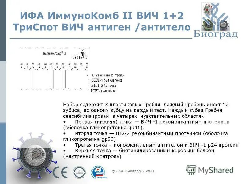 Антиген p24 вич 1