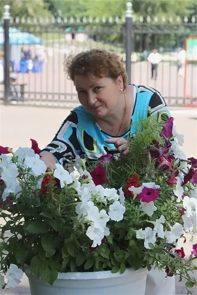 Розы балаково. Розы балаково