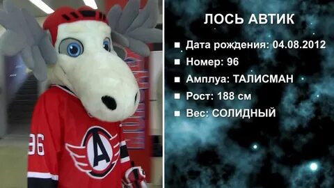 Лось автомобилист