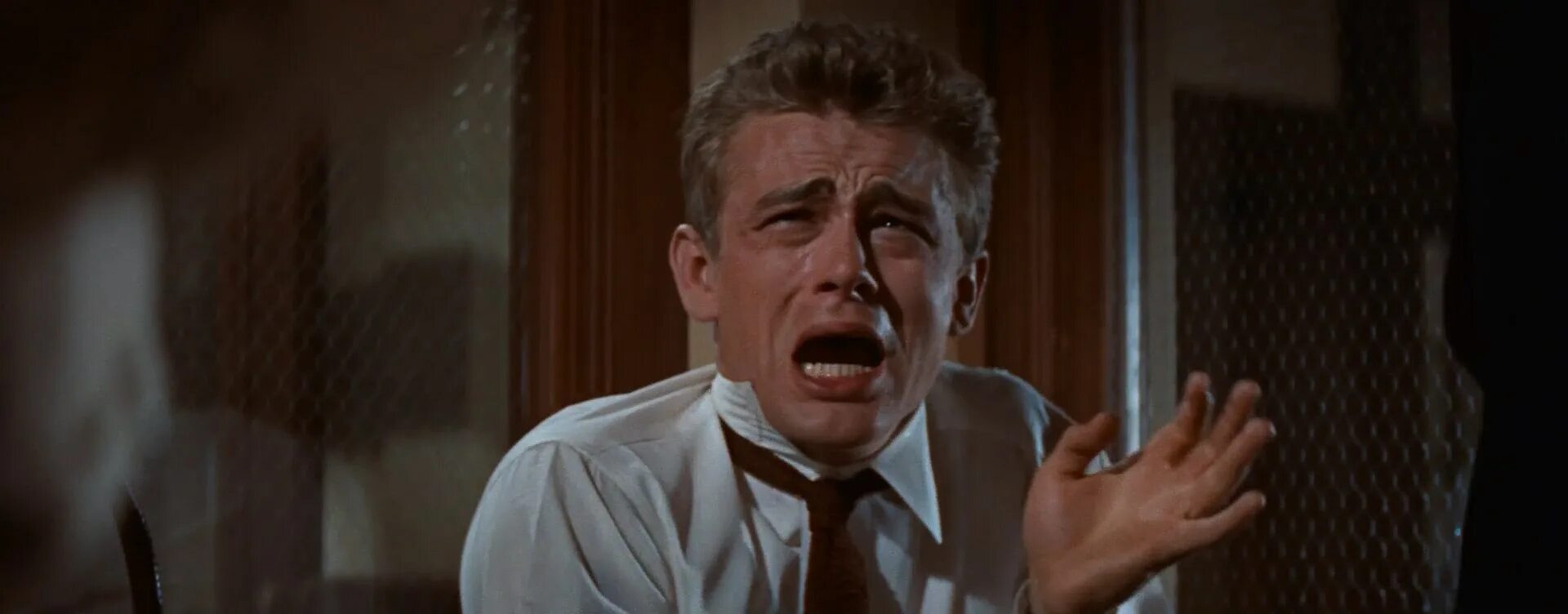 What did he mean. You tearing me Apart. You tearing me Apart James Dean. You are tearing me Apart.
