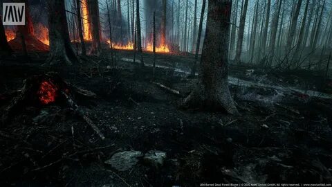 Death forest