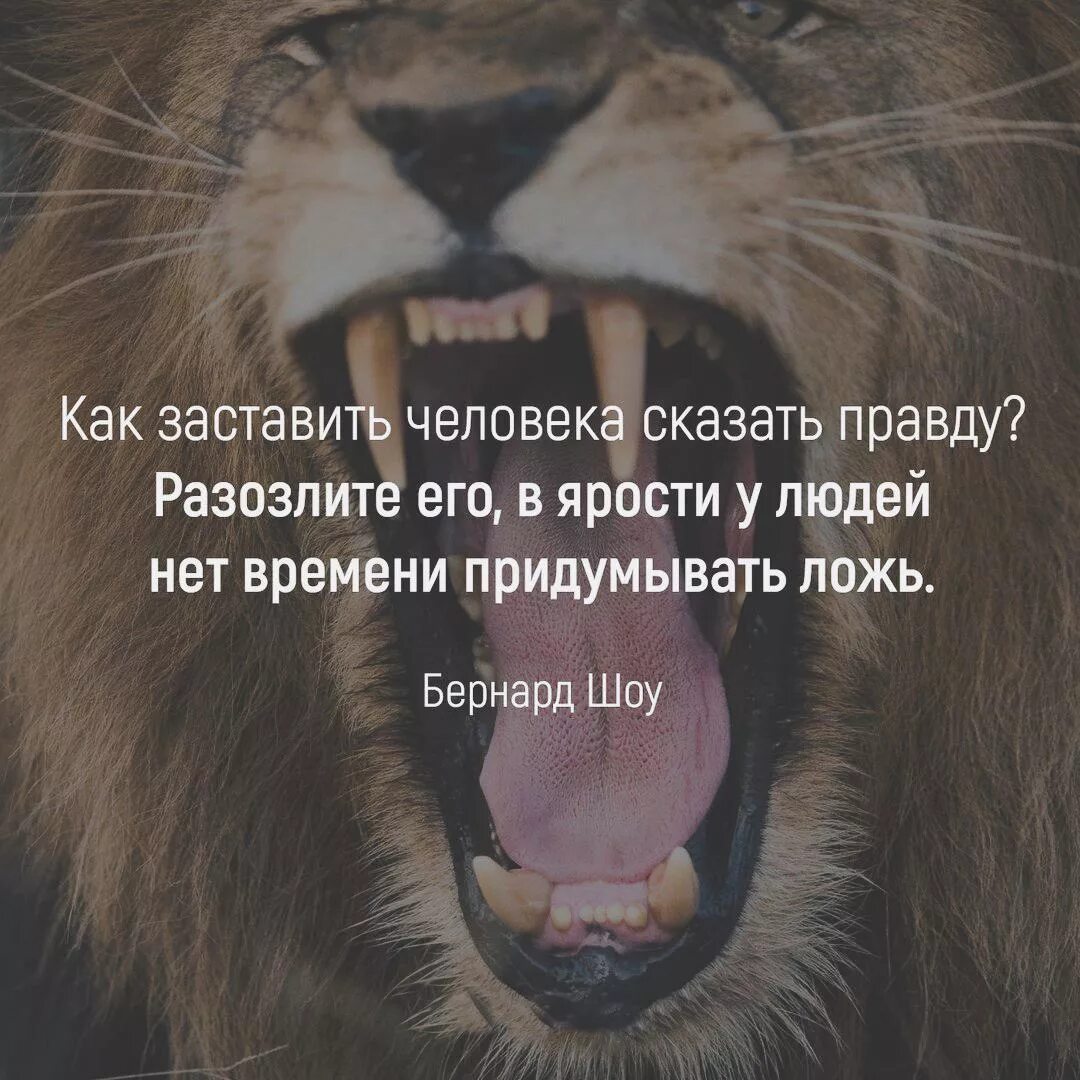 Как как человека заставить правду. Разозленный человек. Как заставить человека сказать правду. В ярости человек говорит правду. Как заставить говорить правду.