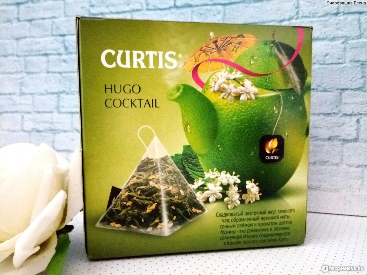 Curtis cocktail. Зеленый чай Кертис Hugo Cocktail. Чай зеленый Кертис Хуго коктейль. Чай Кертис релакс. Хуго коктейль чай Куртис Кертис.