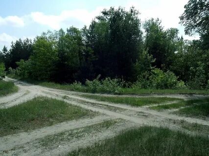 Лесные перекрестки