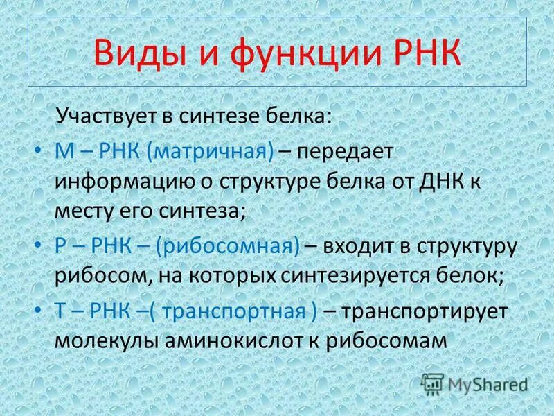 Биополимеры рнк