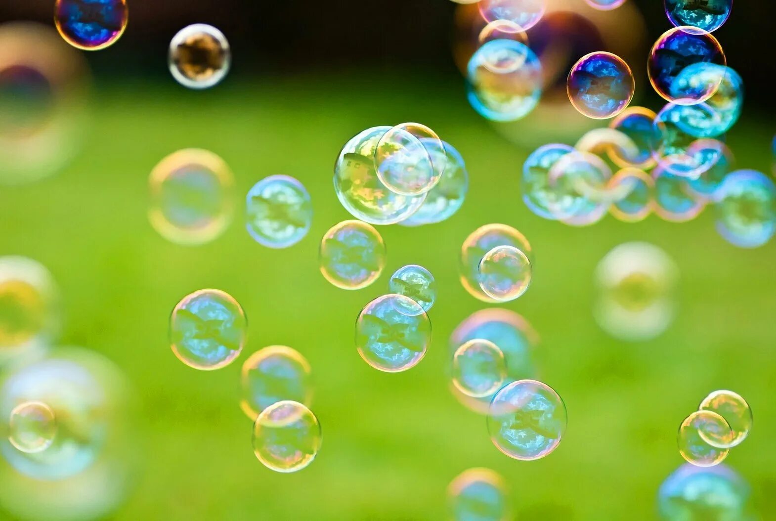 Программа пузырьков. Мыльные пузыри. Разноцветные мыльные пузыри. Цветные пузыри. Фон мыльные пузыри.