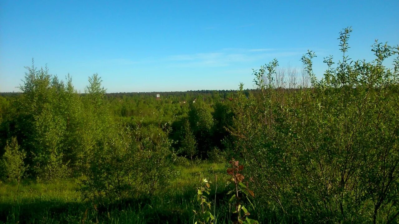 Погода в верхних осельках ленобласти