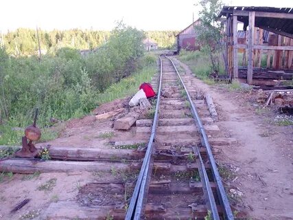 Погода лойга