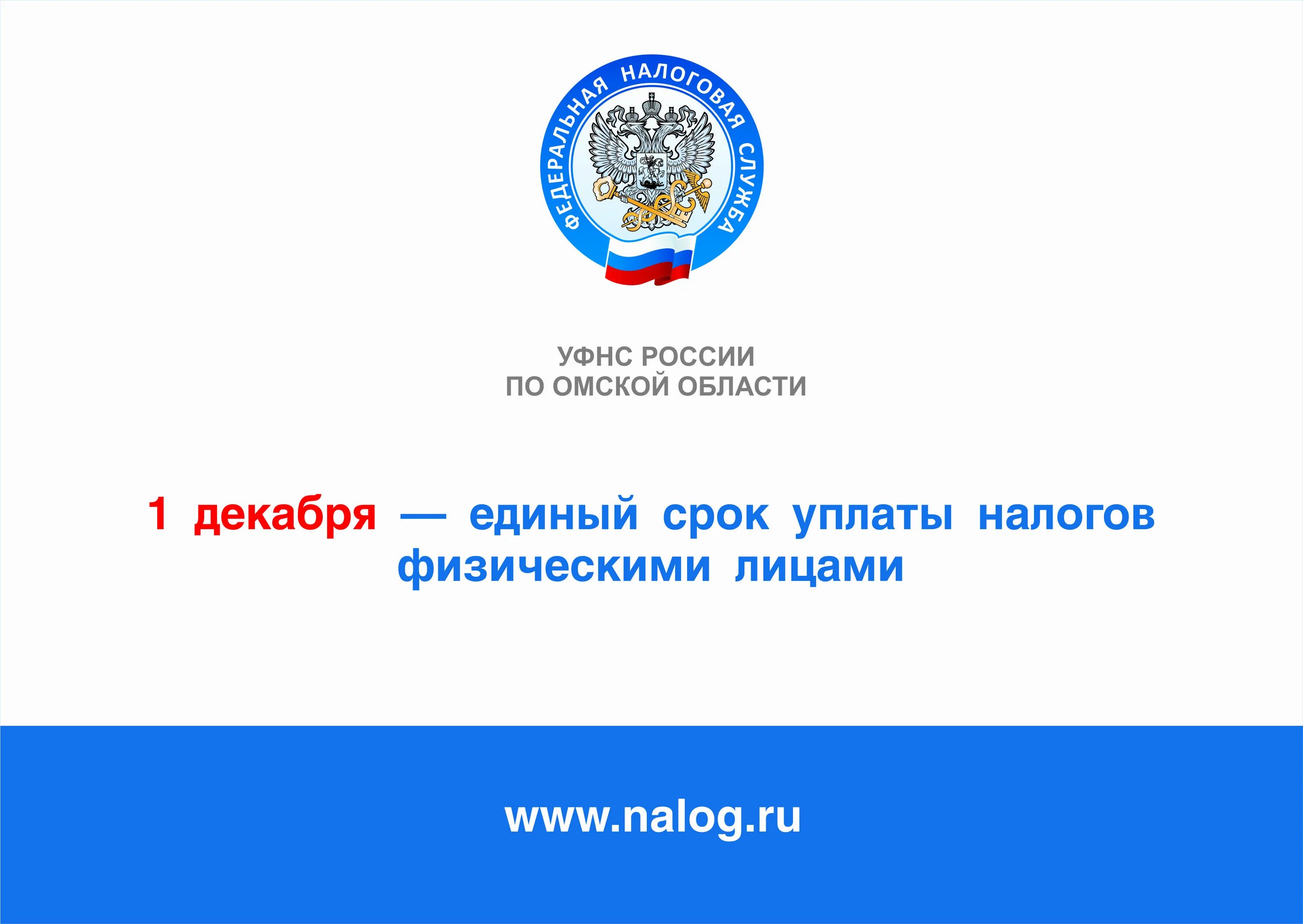 1 Декабря единый срок уплаты. Сроки уплаты налогов. Уплатить налоги. Уплата имущественных налогов.