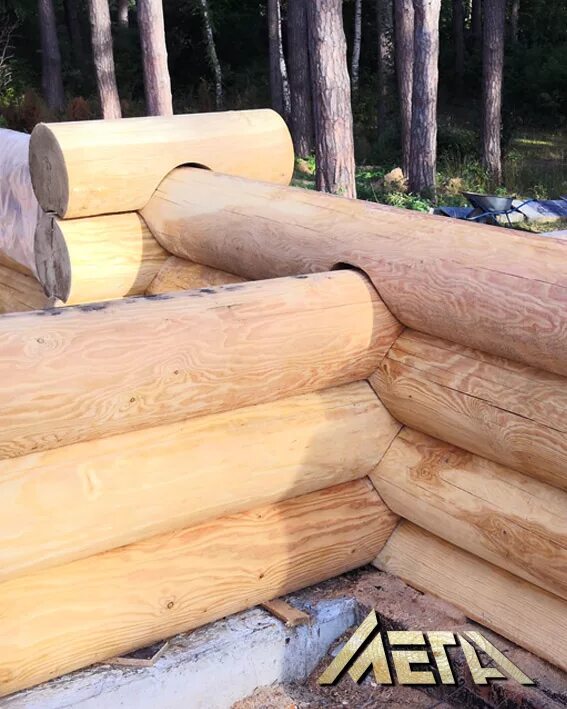 Бревно 300. Дом из оцилиндрованного бревна. Дом из оцилиндрованного бревна викинг. Естественный сруб дом. Дом 5 на 5 больших диаметров бревно.