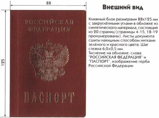 Фото на паспорт РФ требования: размеры, параметры, формат