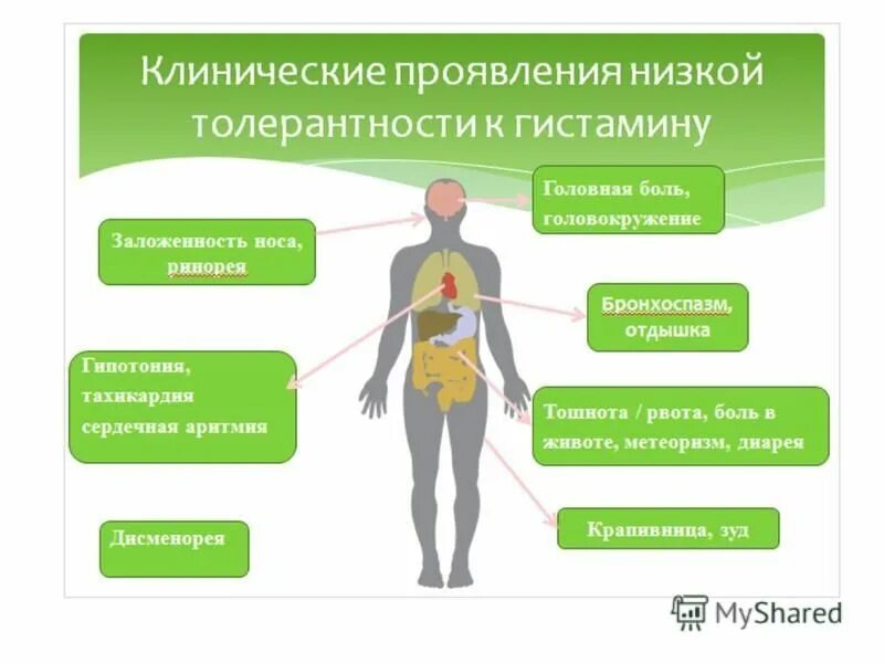 Гистаминоз. Высокий гистамин симптомы. Признаки избытка гистамина. Гистамин клинические проявления. Повышение гистамина.