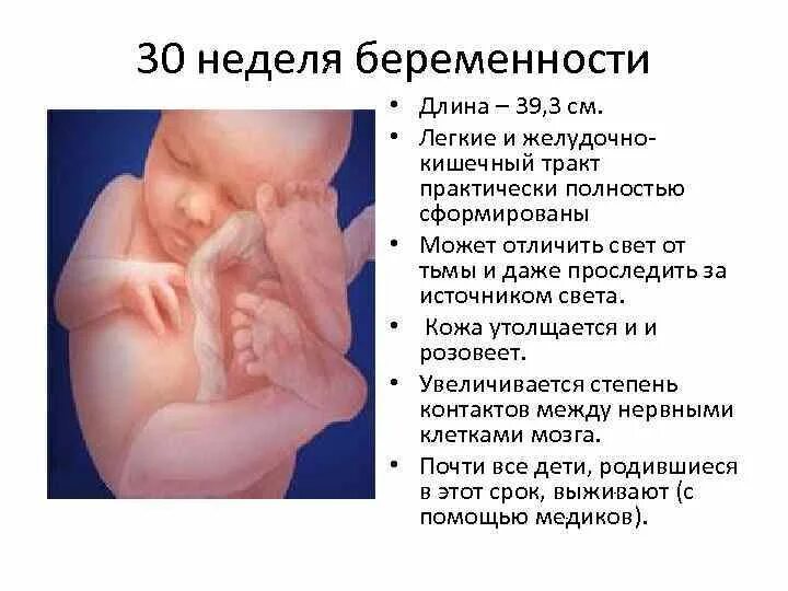 В каком положении находится ребенок. Ребенок нч 30 неделе беременности. ребёнок в 30 недель беременности. малыш на 30 неделе беременности.