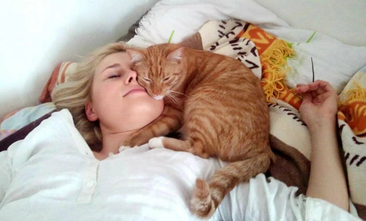 Почему кот ложится рядом спать. Блондинка с рыжим котом. котик лежит на хозяине. девушка с котом на кровати.