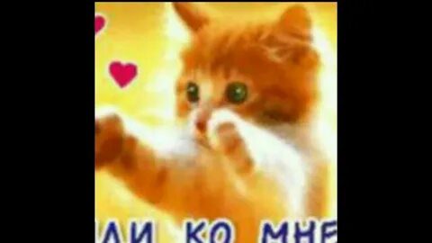 Иди ко мне на английском