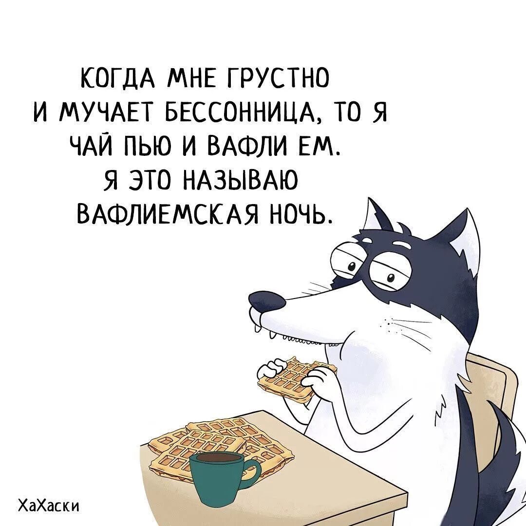 Шутки на ночь. Цитаты про ночь смешные. Прикольные фразы про ночь. Смешные фразы на ночь.