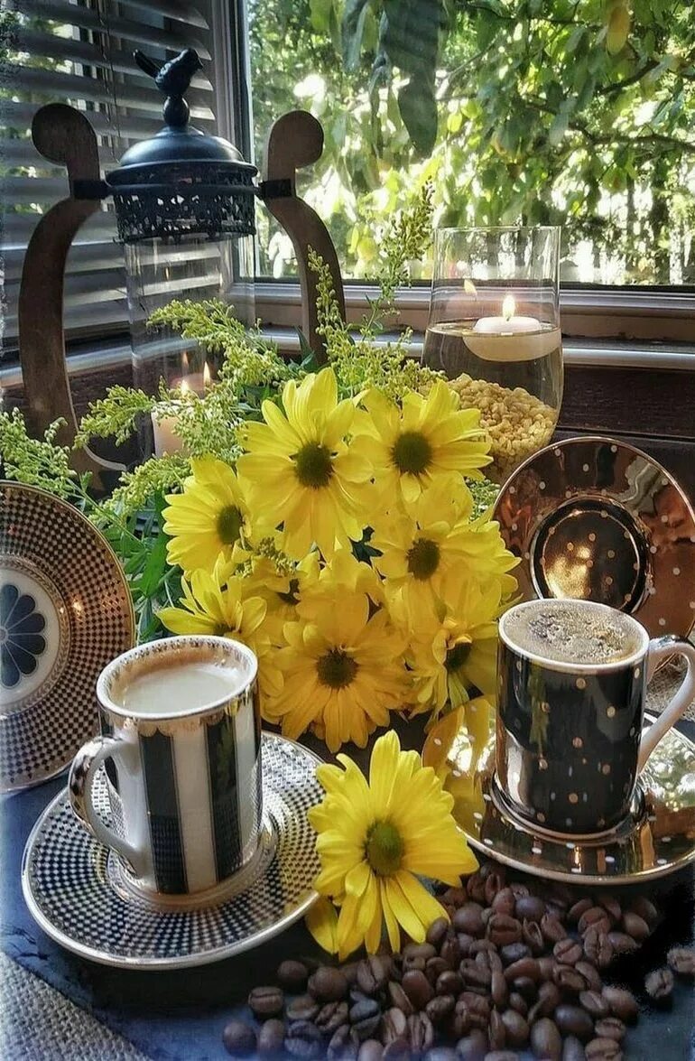 Чай с подсолнухом