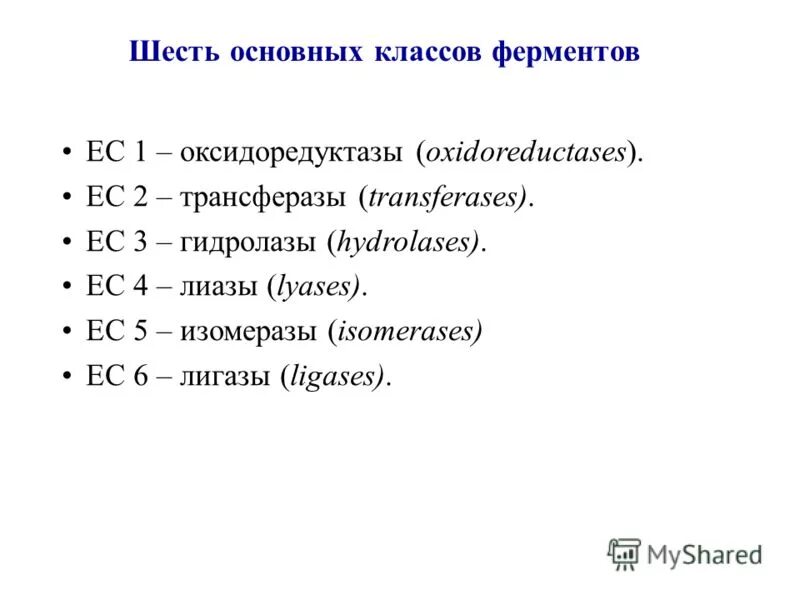 6 классов ферментов