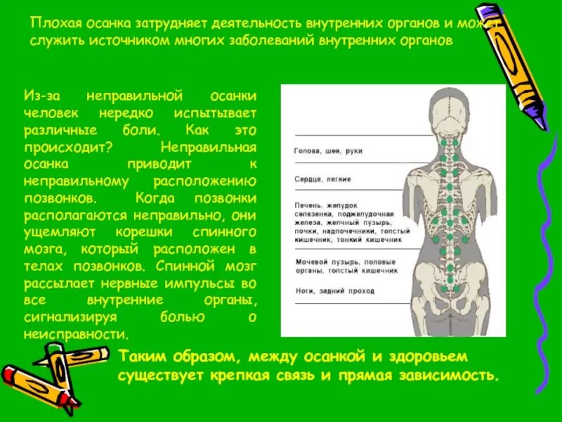 Плохая осанка портящая красоту жениха сканворд. Влияние осанки на здоровье. Влияние правильной осанки на организм человека. Влияние неправильной осанки на внутренние органы. Взаимосвязь осанки и здоровья.