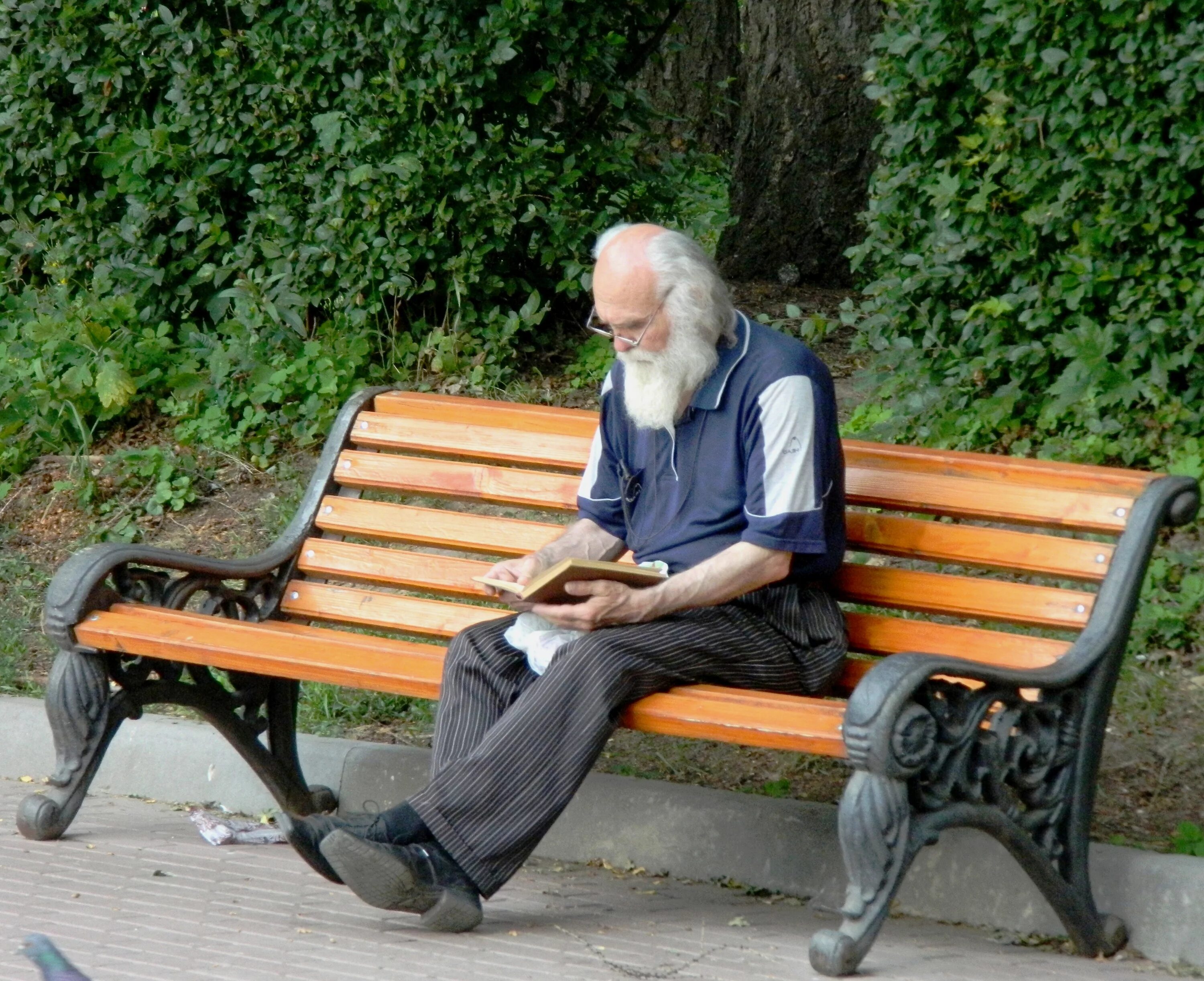 Остановившись старик. Человек сидит на скамейке. Люди на лавочке. Старик сидит. Люди на лавочке в парке.
