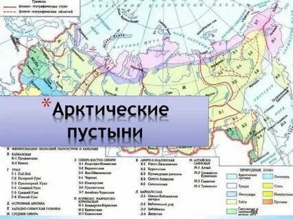Северные безлесные зоны 8 класс география