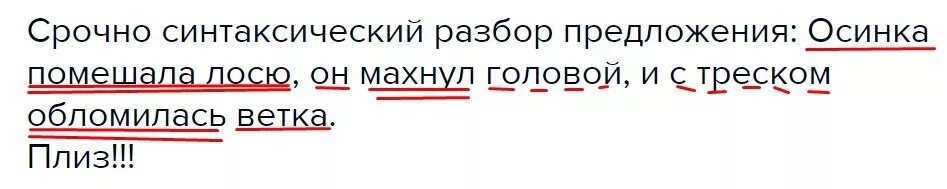 Осинка синтаксический разбор