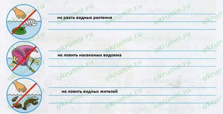 Окружающий мир 4 класс стр 75 81. Жизнь в пресных Водах рабочая тетрадь. Плешаков жизнь пресных вод. Жизнь в пресных Водах окружающий мир рабочая тетрадь. Жизнь в пресных Водах Плешаков 4 класс.