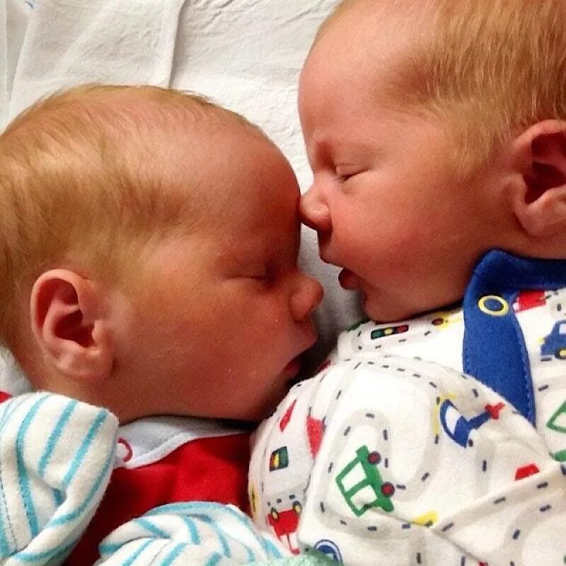 Разнояйцевые двойняшки. Родились двойняшки. Родились двойняшки. Близнецы тройняшки. Новорожденные двойняшки в роддоме.