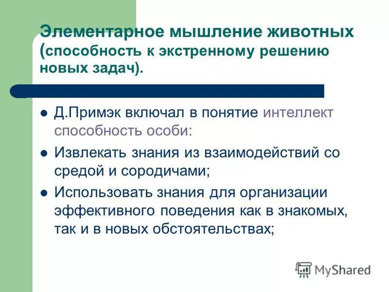 Элементарное мышление животных. Мыслительный акт. Мышление животных. Понятие мышление животных. Элементарное мышление животных.