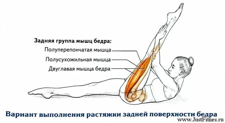 Упражнения для приводящих мышц. Растянуть мышцы задней поверхности бедра. растяжка задней поверхности бедра. микроразрыв мышцы задней поверхности бедра.