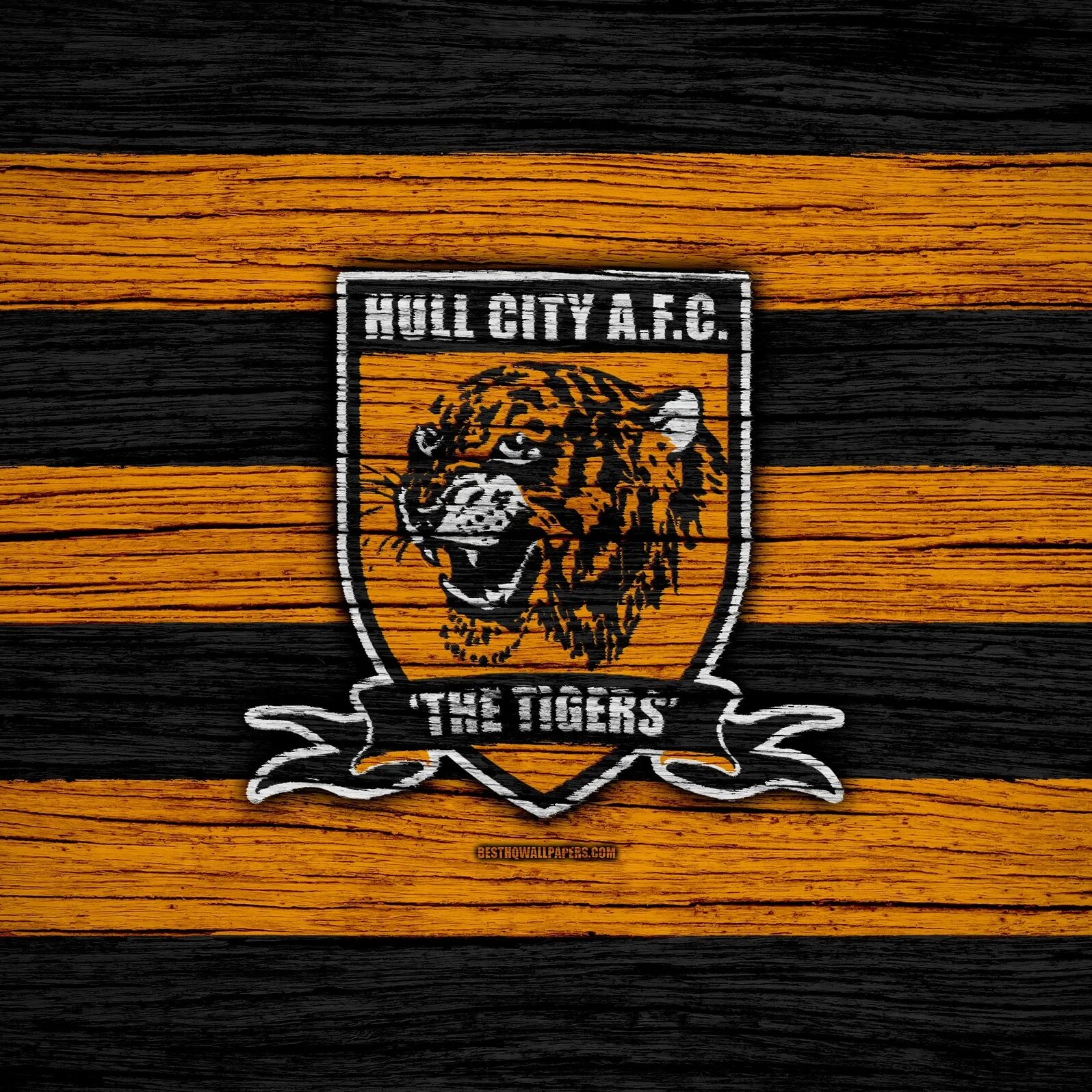 Hull city. Халл Сити лого. ФК Hull City. Hull City эмблема. Эмблема клуба Халл Сити.