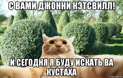 Кэтсвилл жижа