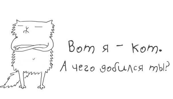 Верю что человек может добиться любой цели. Званый ужин смешное. Что ты добился в этой жизни. Я кот. Я кот а чего добился в жизни ты.