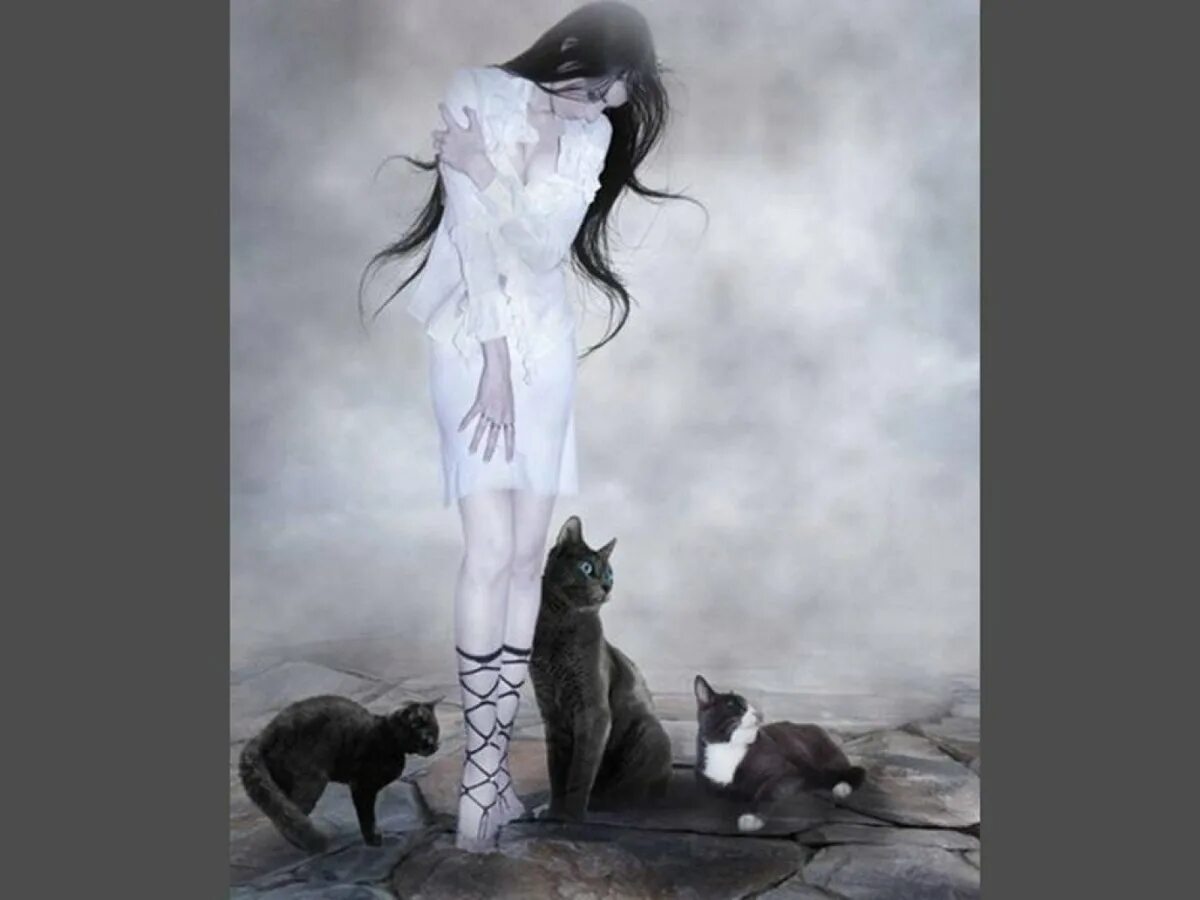 Ведьма и говорящий кот. Девушка кошка. девушка с черным котом. красивая девушка с кошкой. девушка кошка фэнтези.