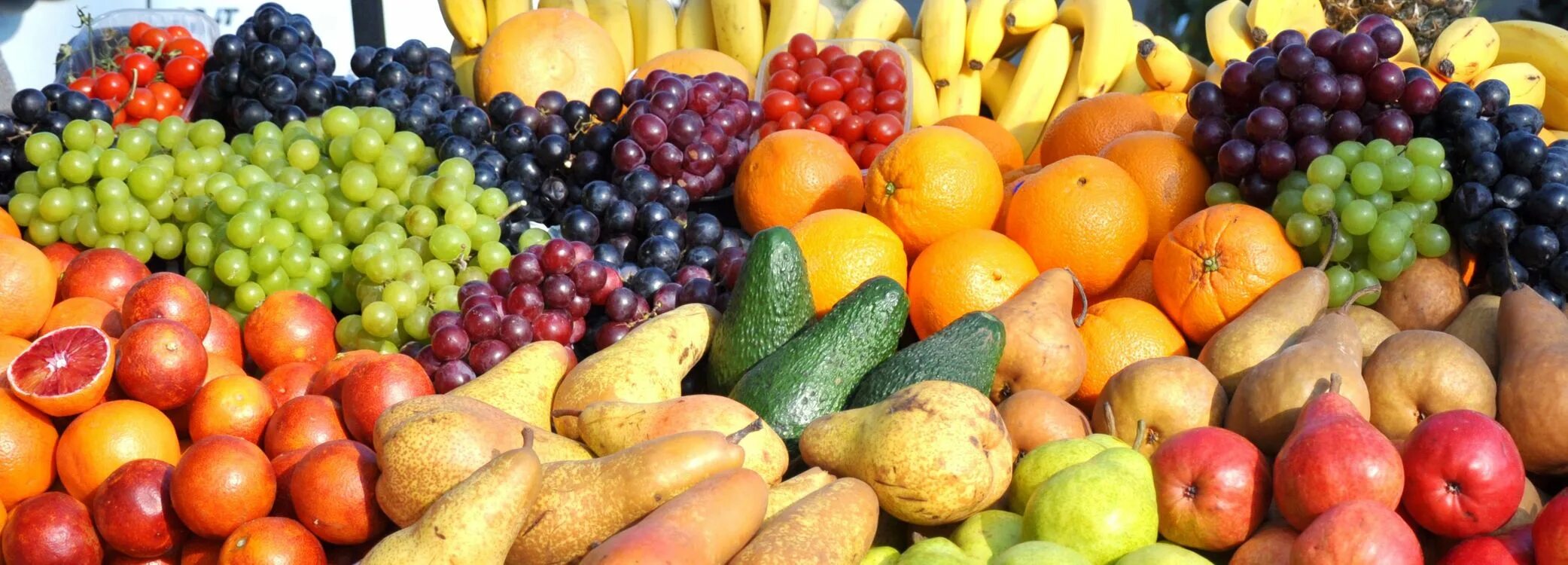 Овощи и фрукты. Фрукты. Фрукты овощи панорама. Овощи и ягоды.