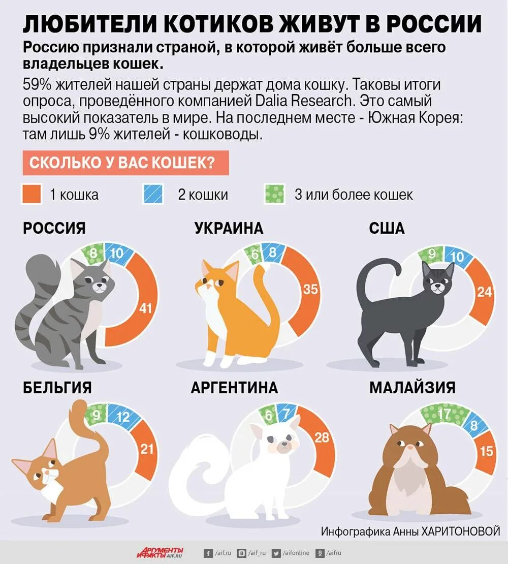 Инфографика коты. Самые распространённые домашние животные. Статистика по домашним животным. Инфографика про домашних животных. Породы кошек какую завести