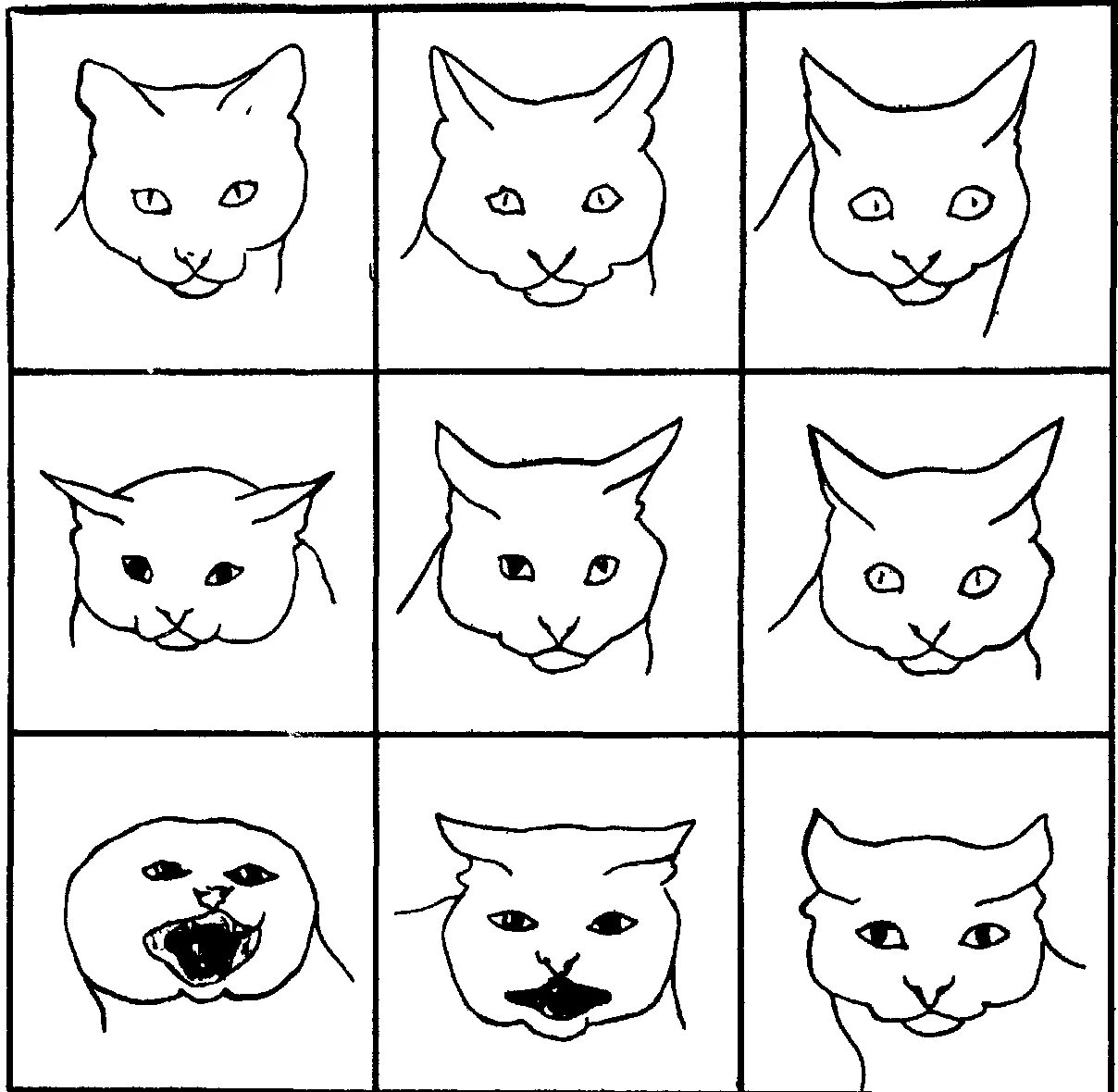 Выражение эмоции у животных. Мимика кошек. выражение лица кошки. кот эмоции. котики стразными эмоциями.