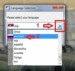 Language selection