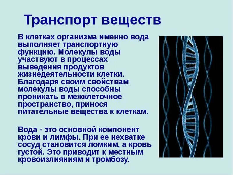 Ток в живых организмах. Транспорт веществ в организме человека. Транспорт питательных веществ в организмах. Транспорт веществ в организме информация. Транспорт питательных веществ в живых организмах.