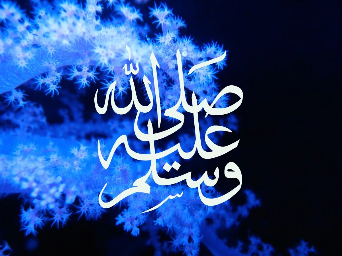 Пророк мир ему и благословение аллаха. Мухаммад любимец Аллаха. Любимец пророка Мухаммеда. Мавлид надпись. Салават Пророку Мухаммаду.